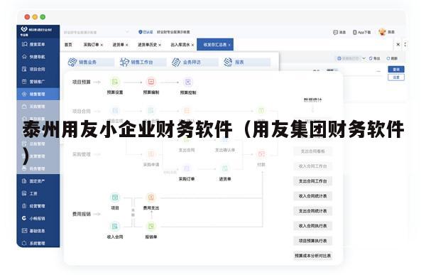 泰州用友小企业财务软件（用友集团财务软件）