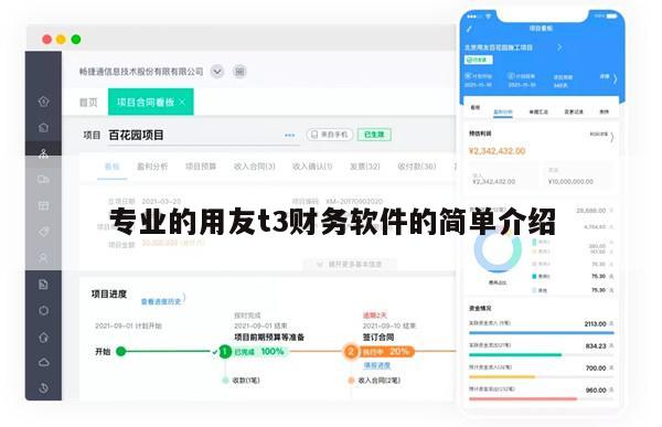 专业的用友t3财务软件的简单介绍