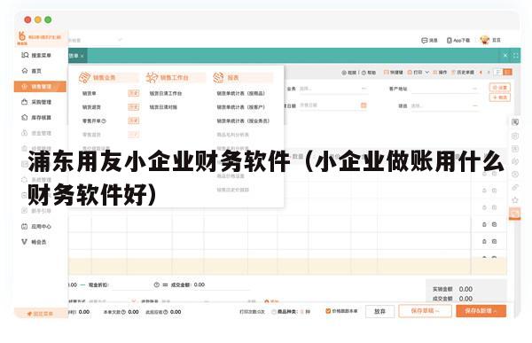 浦东用友小企业财务软件（小企业做账用什么财务软件好）