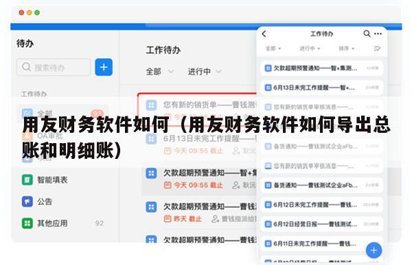 用友财务软件如何（用友财务软件如何导出总账和明细账）
