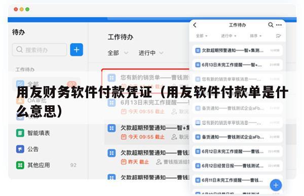 用友财务软件付款凭证（用友软件付款单是什么意思）