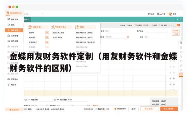 金蝶用友财务软件定制（用友财务软件和金蝶财务软件的区别）