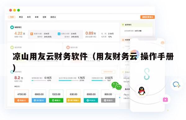 凉山用友云财务软件（用友财务云 操作手册）