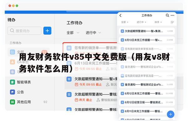 用友财务软件v85中文免费版（用友v8财务软件怎么用）