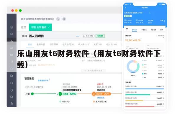 乐山用友t6财务软件（用友t6财务软件下载）