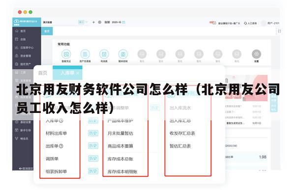 北京用友财务软件公司怎么样（北京用友公司员工收入怎么样）