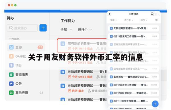 关于用友财务软件外币汇率的信息