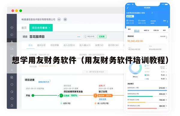 想学用友财务软件（用友财务软件培训教程）