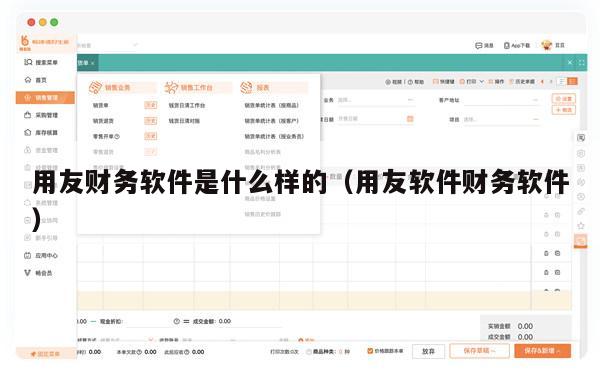 用友财务软件是什么样的（用友软件财务软件）