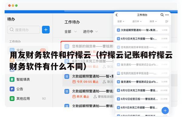 用友财务软件和柠檬云（柠檬云记账和柠檬云财务软件有什么不同）