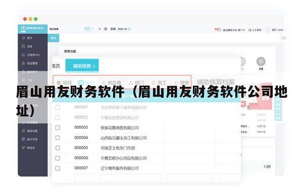 眉山用友财务软件（眉山用友财务软件公司地址）