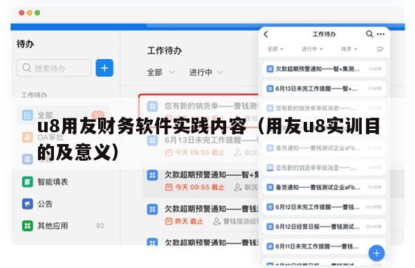 u8用友财务软件实践内容（用友u8实训目的及意义）