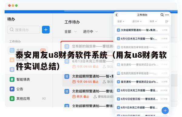 泰安用友u8财务软件系统（用友u8财务软件实训总结）