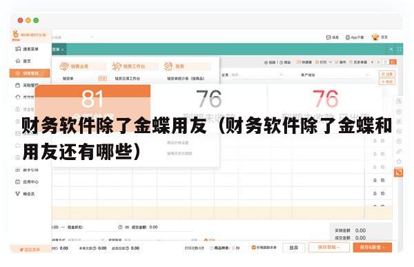 财务软件除了金蝶用友（财务软件除了金蝶和用友还有哪些）