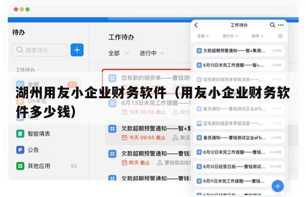 湖州用友小企业财务软件（用友小企业财务软件多少钱）