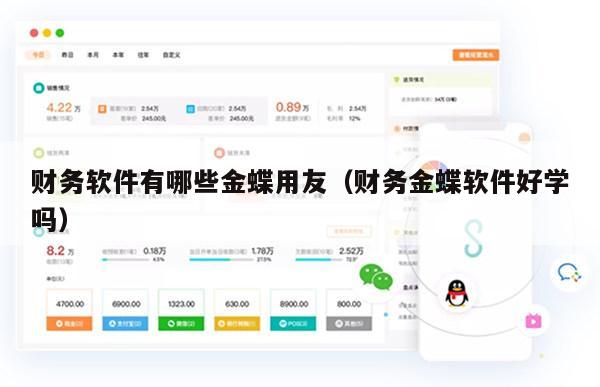 财务软件有哪些金蝶用友（财务金蝶软件好学吗）