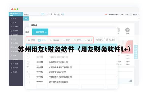 苏州用友t财务软件（用友财务软件t+）