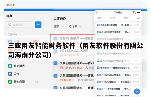 三亚用友智能财务软件（用友软件股份有限公司海南分公司）