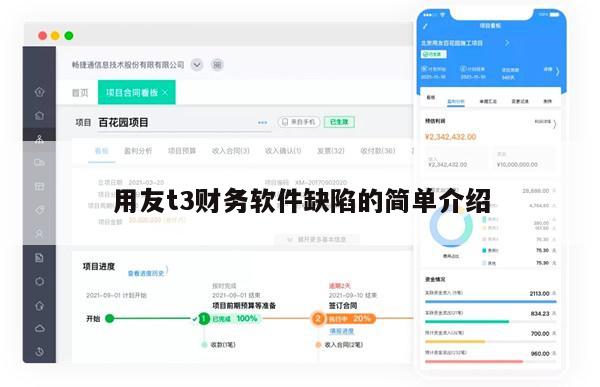 用友t3财务软件缺陷的简单介绍