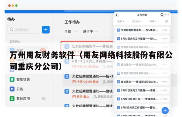 万州用友财务软件（用友网络科技股份有限公司重庆分公司）