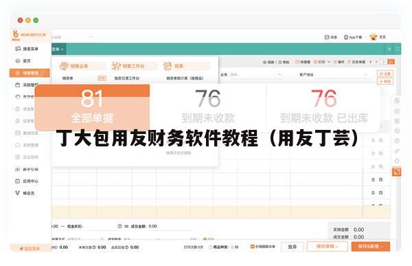 丁大包用友财务软件教程（用友丁芸）