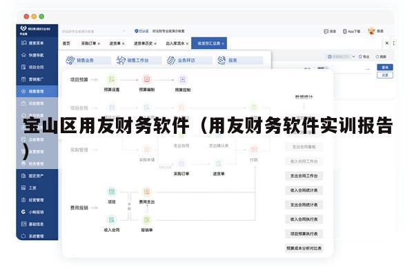 宝山区用友财务软件（用友财务软件实训报告）