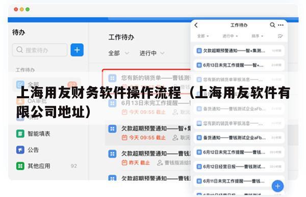 上海用友财务软件操作流程（上海用友软件有限公司地址）