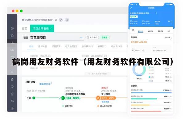 鹤岗用友财务软件（用友财务软件有限公司）