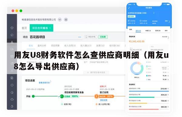 用友U8财务软件怎么查供应商明细（用友u8怎么导出供应商）