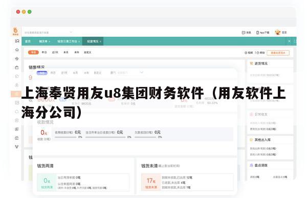 上海奉贤用友u8集团财务软件（用友软件上海分公司）