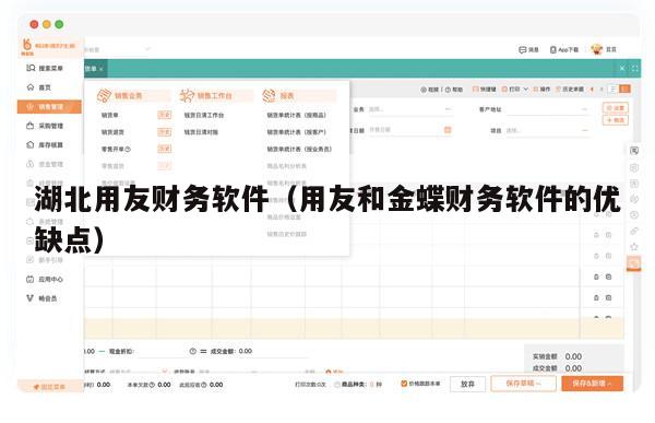湖北用友财务软件（用友和金蝶财务软件的优缺点）