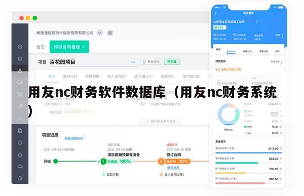 用友nc财务软件数据库（用友nc财务系统）