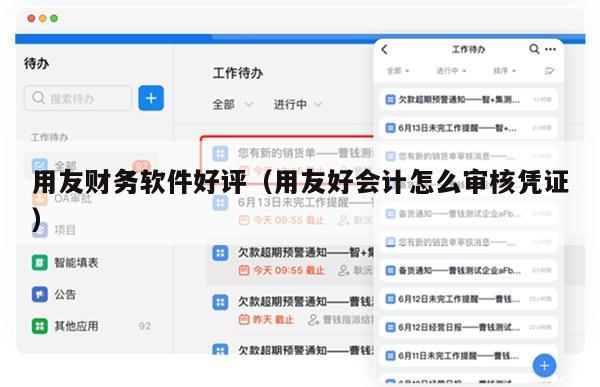用友财务软件好评（用友好会计怎么审核凭证）