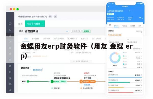 金蝶用友erp财务软件（用友 金蝶 erp）