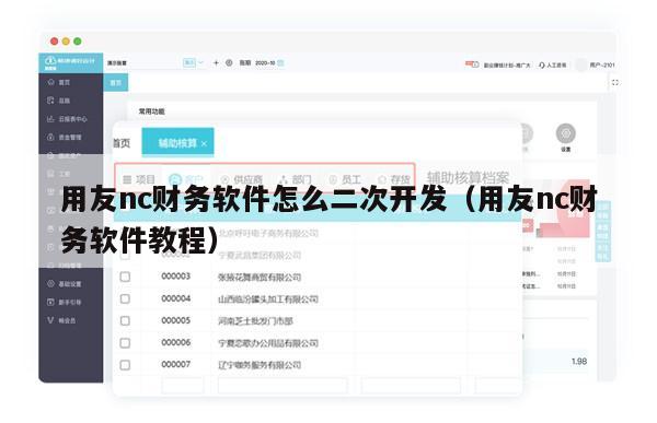 用友nc财务软件怎么二次开发（用友nc财务软件教程）