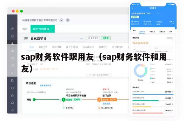 sap财务软件跟用友（sap财务软件和用友）