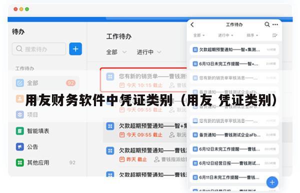 用友财务软件中凭证类别（用友 凭证类别）