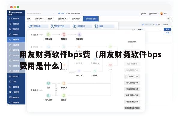 用友财务软件bps费（用友财务软件bps费用是什么）