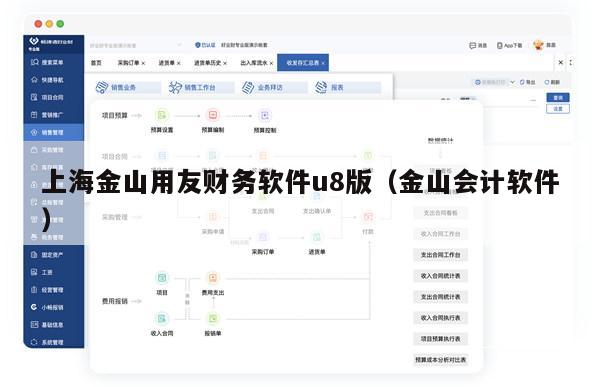 上海金山用友财务软件u8版（金山会计软件）