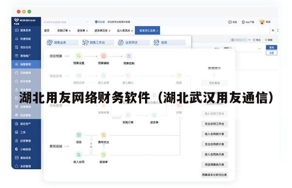 湖北用友网络财务软件（湖北武汉用友通信）