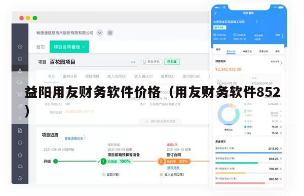 益阳用友财务软件价格（用友财务软件852）