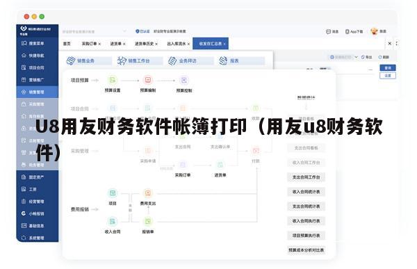U8用友财务软件帐簿打印（用友u8财务软件）