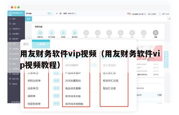 用友财务软件vip视频（用友财务软件vip视频教程）