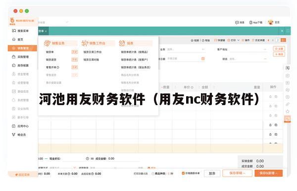 河池用友财务软件（用友nc财务软件）