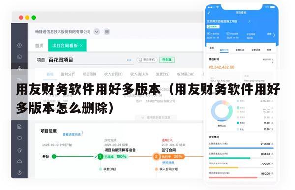用友财务软件用好多版本（用友财务软件用好多版本怎么删除）