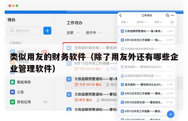 类似用友的财务软件（除了用友外还有哪些企业管理软件）