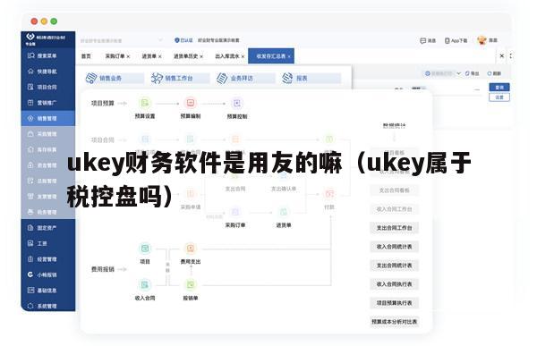 ukey财务软件是用友的嘛（ukey属于税控盘吗）