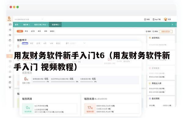 用友财务软件新手入门t6（用友财务软件新手入门 视频教程）