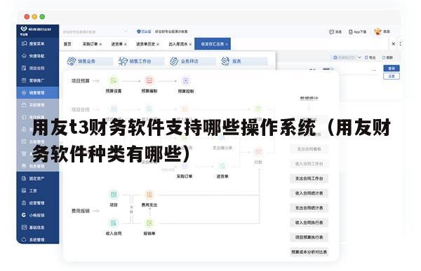 用友t3财务软件支持哪些操作系统（用友财务软件种类有哪些）