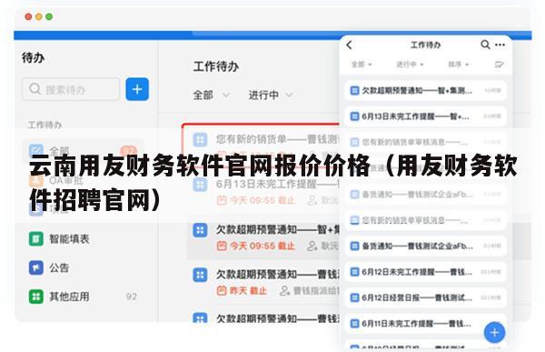 云南用友财务软件官网报价价格（用友财务软件招聘官网）